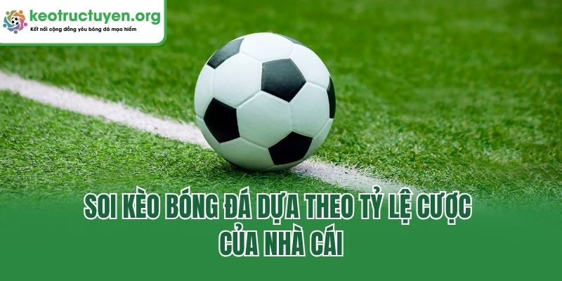 Tìm Hiểu Về Kèo Bóng Đá Và Bí Quyết Cược Thắng Từ Keonhacai5 Soi kèo bóng đá dựa theo tỷ lệ cược của nhà cái