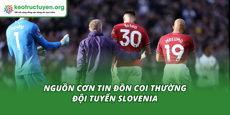 Giải Mã Tin Đồn MU Bị Tố Thiếu Tôn Trọng ĐT Slovenia Nguồn gốc dẫn đến các nghi vấn liên quan MU