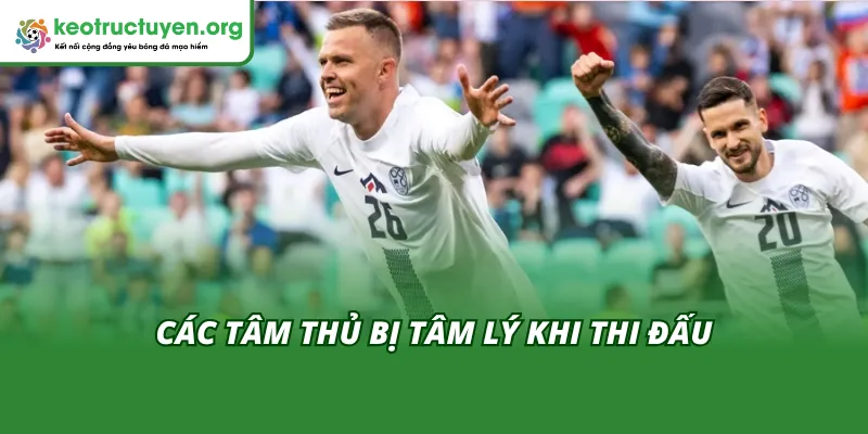 Giải Mã Tin Đồn MU Bị Tố Thiếu Tôn Trọng ĐT Slovenia Mu bị tố thiếu tôn trọng ĐT Slovenia tác động đến tâm lý cầu thủ