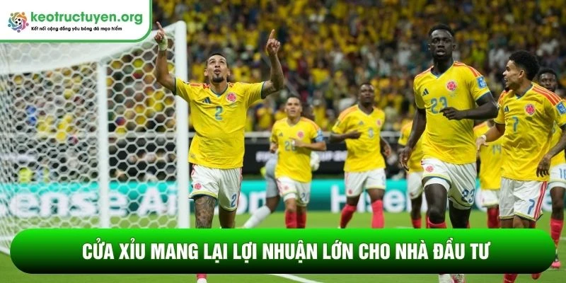 Cửa xỉu mang lại lợi nhuận lớn cho nhà đầu tư