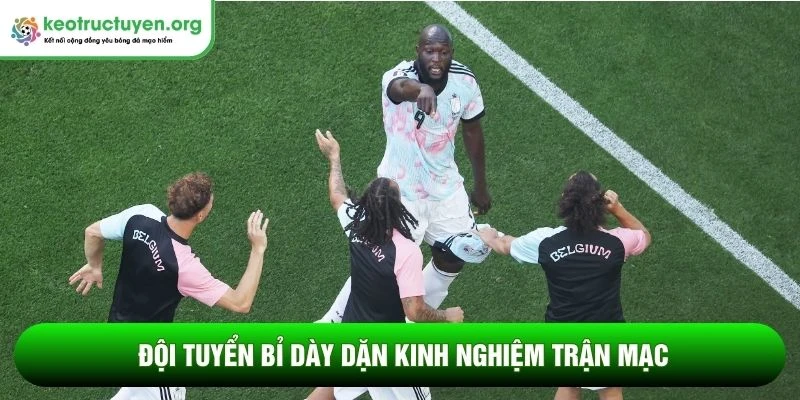 Tỷ lệ kèo trận Mỹ vs Bỉ 07/07: Quỷ đỏ đi tiếp đầy cảm xúc Đội tuyển Bỉ dày dặn kinh nghiệm trận mạc