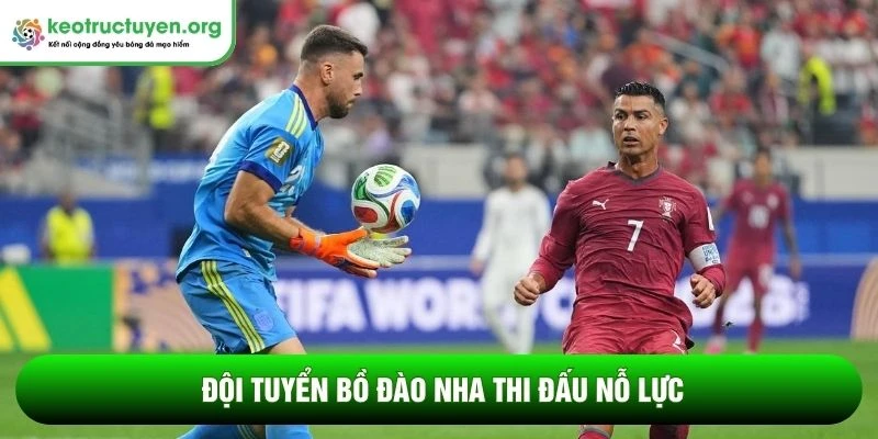 Đội tuyển Bồ Đào Nha thi đấu nỗ lực